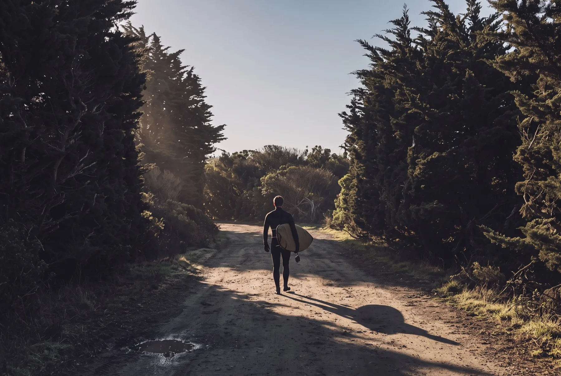Surfer walking a dirt track through cypress with a board under one arm